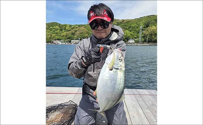 海上釣り堀で青物が爆釣！【和光・三重】ワラサとカンパチ合わせて23匹