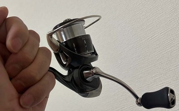 チニング専用タックルを半年使って「半分後悔」した理由　買って初めて分かった釣具選びの盲点