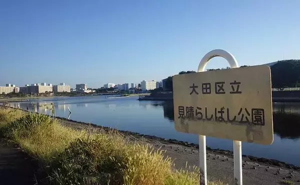 「京浜運河でのハゼ釣りで本命25匹【東京・見晴らしばし公園】2時間で手中」の画像