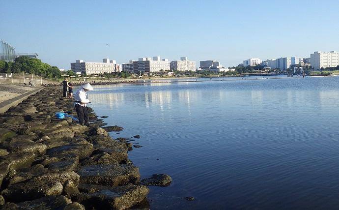 京浜運河でのハゼ釣りで本命25匹【東京・見晴らしばし公園】2時間で手中