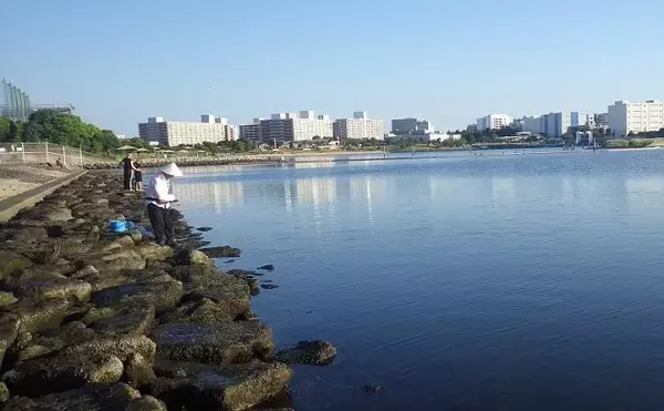 「京浜運河でのハゼ釣りで本命25匹【東京・見晴らしばし公園】2時間で手中」の画像