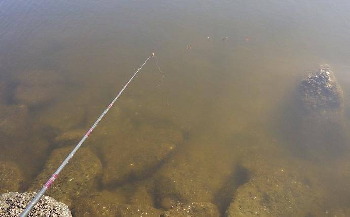 京浜運河でのハゼ釣りで本命25匹【東京・見晴らしばし公園】2時間で手中