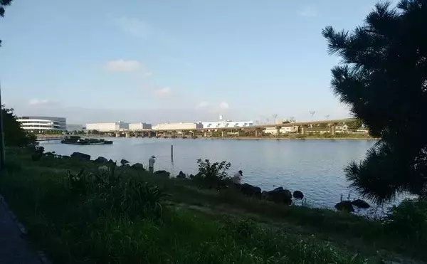 「京浜運河でのハゼ釣りで本命25匹【東京・見晴らしばし公園】2時間で手中」の画像