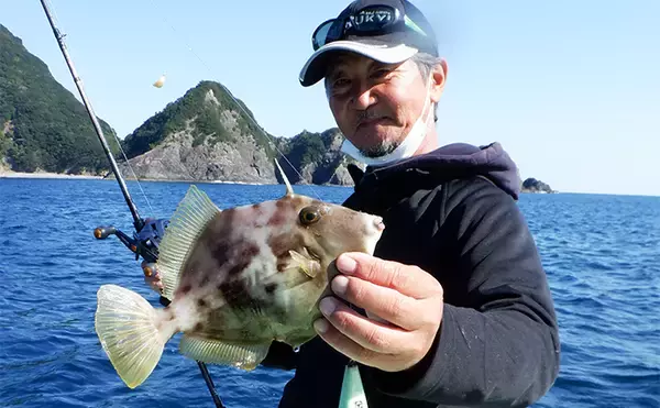「秋の船カワハギ釣り入門解説 【タックル・仕掛け・エサ・釣り方のキホン】」の画像