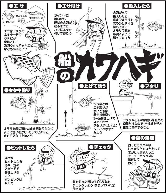 秋の船カワハギ釣り入門解説 【タックル・仕掛け・エサ・釣り方の 