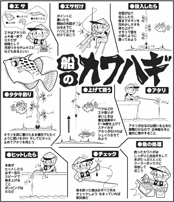 「秋の船カワハギ釣り入門解説 【タックル・仕掛け・エサ・釣り方のキホン】」の画像