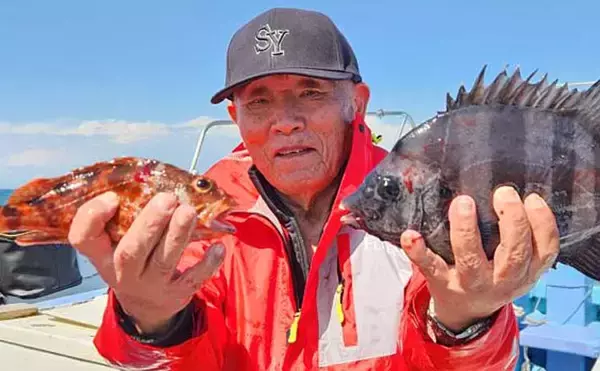 南知多沖のウタセ五目釣りで8目達成！【愛知】小ダイ・カサゴ・サンバソウ・カワハギなど32匹手中