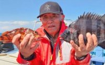 南知多沖のウタセ五目釣りで8目達成！【愛知】小ダイ・カサゴ・サンバソウ・カワハギなど32匹手中