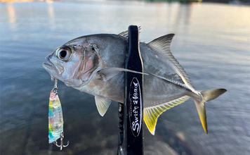 中紀エリアのライトゲームで良型メッキ連発！【和歌山】トップウォータープラグに好反応