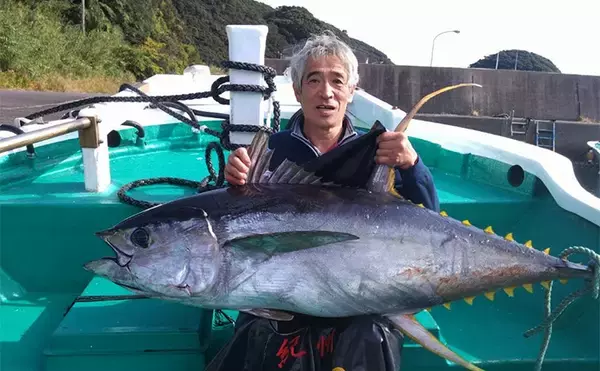 完全フカセ釣りで64kgキハダマグロをキャッチ！【和歌山・昌丸】船中マグロ乱舞
