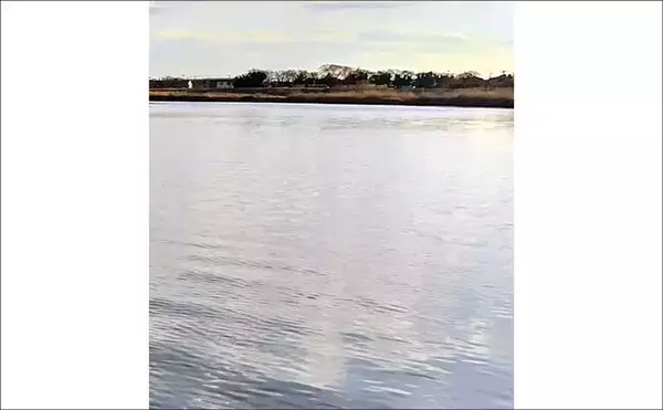 「「潮が悪くてもシーバスはいる！」 悪条件のバチ抜けシーバスは【流れ】が肝？」の画像