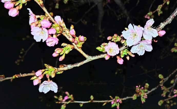 「潮が悪くてもシーバスはいる！」 悪条件のバチ抜けシーバスは【流れ】が肝？