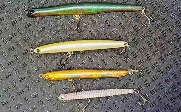 「「潮が悪くてもシーバスはいる！」 悪条件のバチ抜けシーバスは【流れ】が肝？」の画像