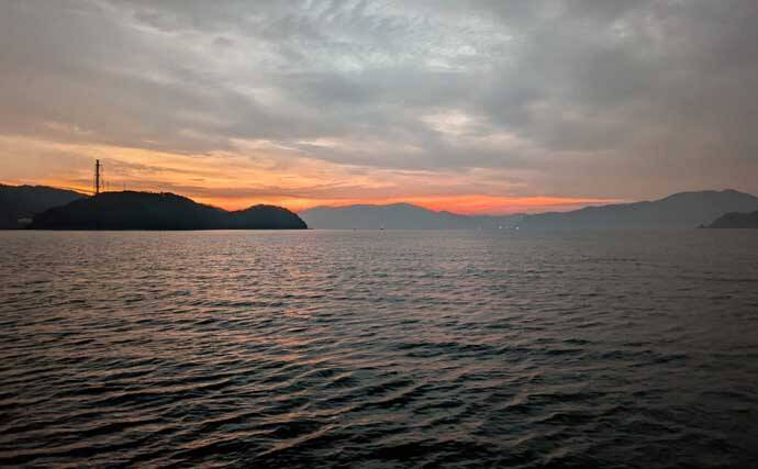 春のコウイカエギングシーズン開幕！【京都府】良型交じりで本命複数安打達成