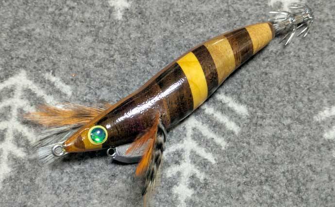 春のコウイカエギングシーズン開幕！【京都府】良型交じりで本命複数安打達成