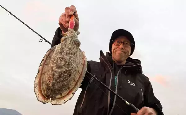 「春のコウイカエギングシーズン開幕！【京都府】良型交じりで本命複数安打達成」の画像