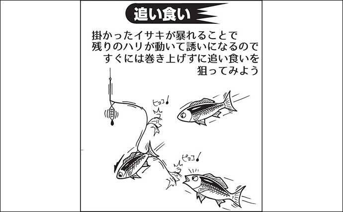 船イサキ釣り入門 竿 リール選び エサ 釣果伸びる誘い方を解説 22年5月10日 エキサイトニュース 6 6