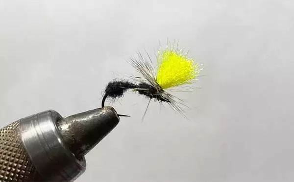 「2025年の渓流釣りで大活躍だった【フライ3選】 ドライフライのパラシュートタイプがメイン」の画像