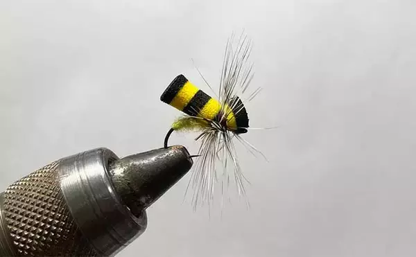 「2025年の渓流釣りで大活躍だった【フライ3選】 ドライフライのパラシュートタイプがメイン」の画像