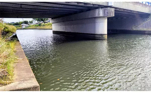 「リバーシーバスゲームで62cm頭に良型シーバス3本キャッチ【千葉】流れの変化が肝」の画像