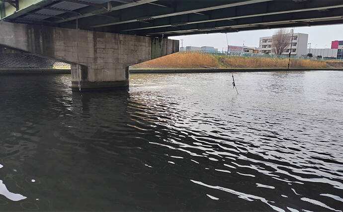 リバーシーバスゲームで62cm頭に良型シーバス3本キャッチ【千葉】流れの変化が肝