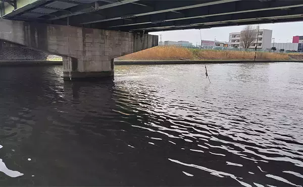 「リバーシーバスゲームで62cm頭に良型シーバス3本キャッチ【千葉】流れの変化が肝」の画像