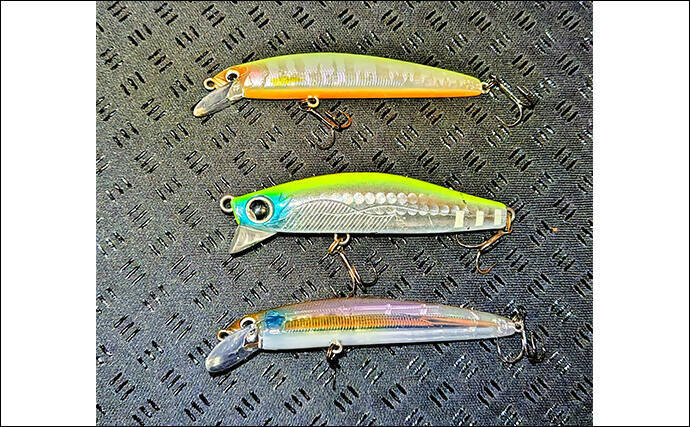 リバーシーバスゲームで62cm頭に良型シーバス3本キャッチ【千葉】流れの変化が肝