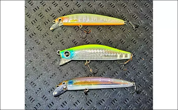 「リバーシーバスゲームで62cm頭に良型シーバス3本キャッチ【千葉】流れの変化が肝」の画像