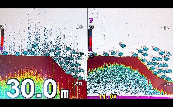 「明石沖に青物が戻ってきた！」ボートジギングで久々のハマチと対面【兵庫】
