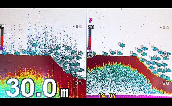 「「明石沖に青物が戻ってきた！」ボートジギングで久々のハマチと対面【兵庫】」の画像