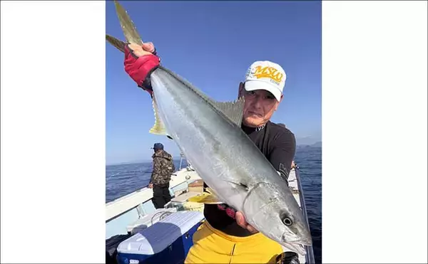 「【沖釣り釣果速報】落とし込み釣りで快挙！ヒラマサ106cm＆青物60尾超えの大爆発（福岡）」の画像