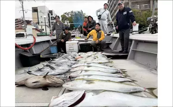 「【沖釣り釣果速報】落とし込み釣りで快挙！ヒラマサ106cm＆青物60尾超えの大爆発（福岡）」の画像