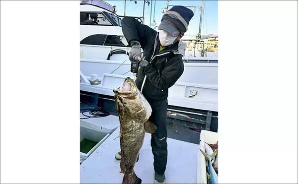 「【沖釣り釣果速報】落とし込み釣りで快挙！ヒラマサ106cm＆青物60尾超えの大爆発（福岡）」の画像