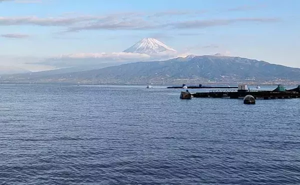 「海上釣り堀でワラサ連発＆マダイ追釣！【静岡・沼津】カツオの切り身が的中」の画像