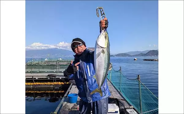 「海上釣り堀でワラサ連発＆マダイ追釣！【静岡・沼津】カツオの切り身が的中」の画像