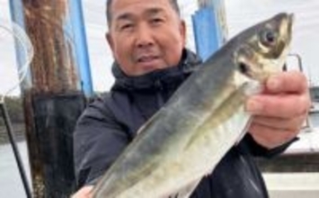 有名ブランドの「関アジ・関サバ」が順調ヒット！【船釣り速報５選・大分／熊本】