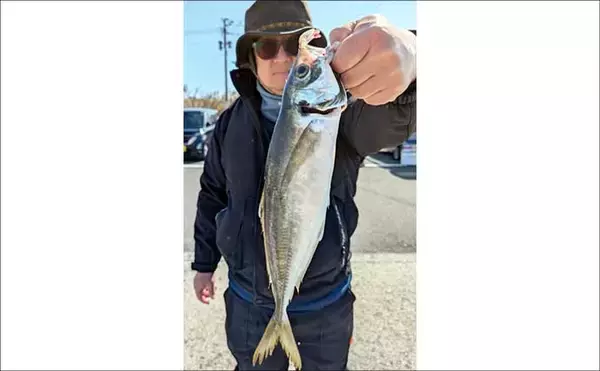 「有名ブランドの「関アジ・関サバ」が順調ヒット！【船釣り速報５選・大分／熊本】」の画像