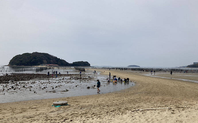 魚影ならぬ「貝影」が抜群に濃いトンボロ干潟でハマグリを発見！【愛知・前島】