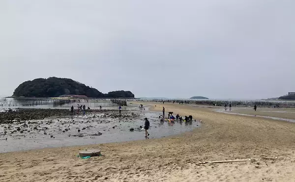 「魚影ならぬ「貝影」が抜群に濃いトンボロ干潟でハマグリを発見！【愛知・前島】」の画像