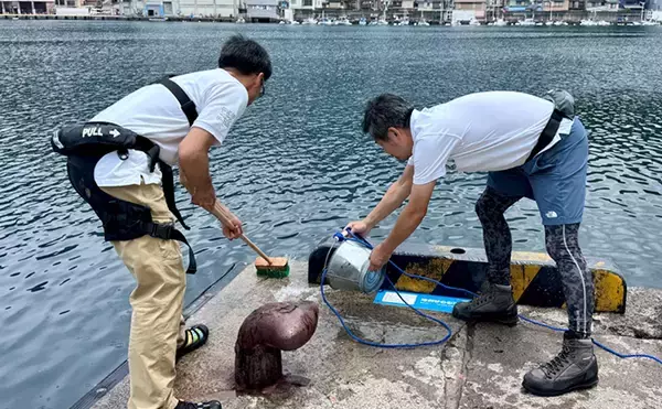 「のべ竿一本で堤防釣りを満喫【安良里漁港】メジナにアジなど10魚種をキャッチ」の画像
