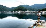 「のべ竿一本で堤防釣りを満喫【安良里漁港】メジナにアジなど10魚種をキャッチ」の画像9