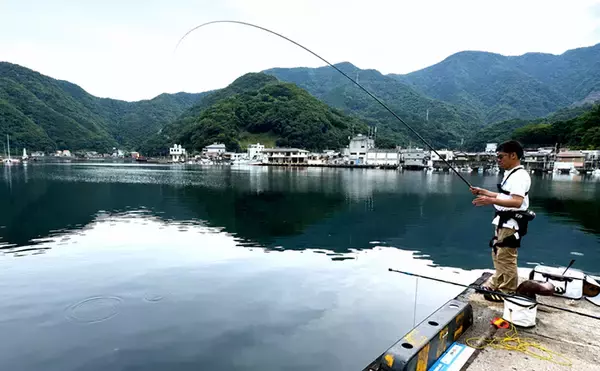 「のべ竿一本で堤防釣りを満喫【安良里漁港】メジナにアジなど10魚種をキャッチ」の画像