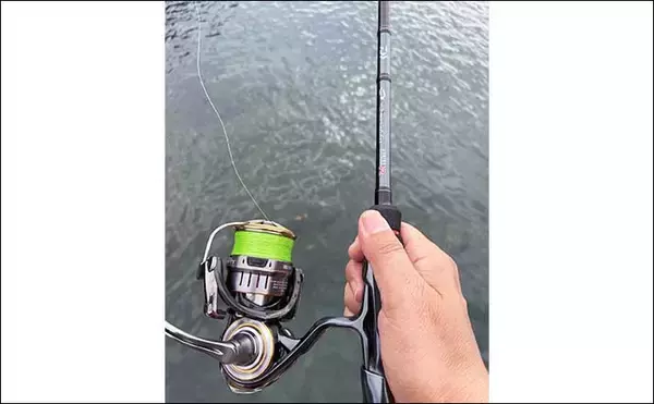 「「エギングはアタリが分かると2倍楽しい！」 手で感じる＆目でラインを見るアタリそれぞれを解説」の画像