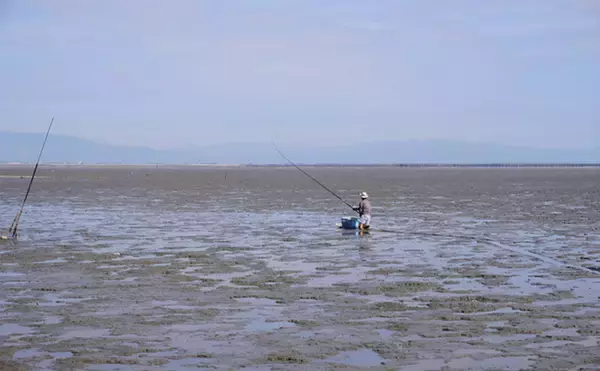 「有明海のシンボル『ムツゴロウ』　干潟に特化した生態と変わった捕獲方法とは？」の画像