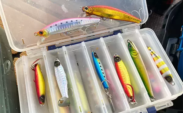 「奥伊勢湾のサワラキャスティングゲームで60cm本命と対面成功　ブレード付きジグにヒット」の画像