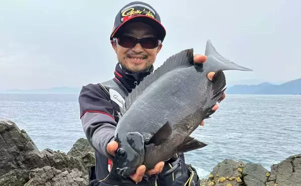 口太と尾長を獲り分ける寒グレ戦略【三重】ハリ・やり取り・狙うポイントを徹底解説