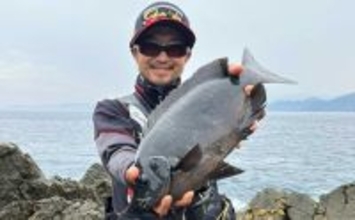 口太と尾長を獲り分ける寒グレ戦略【三重】ハリ・やり取り・狙うポイントを徹底解説