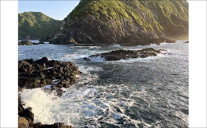 口太と尾長を獲り分ける寒グレ戦略【三重】ハリ・やり取り・狙うポイントを徹底解説