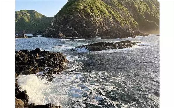 「口太と尾長を獲り分ける寒グレ戦略【三重】ハリ・やり取り・狙うポイントを徹底解説」の画像