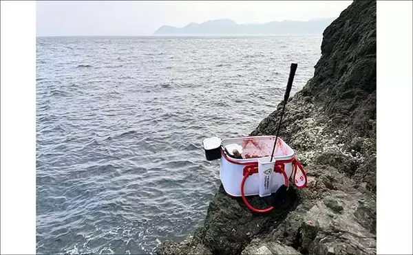 「口太と尾長を獲り分ける寒グレ戦略【三重】ハリ・やり取り・狙うポイントを徹底解説」の画像